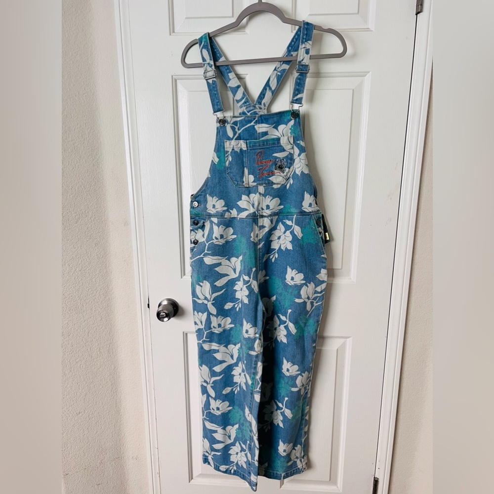 Disney Princess Tiana Princess and the Frog denim overalls
